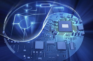 物联网变革中的关键推手 Envitas如何以网络技术服务重塑未来